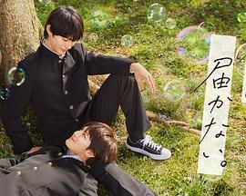 农家乐小老板58