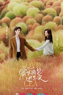 黑人开发妻子张艳